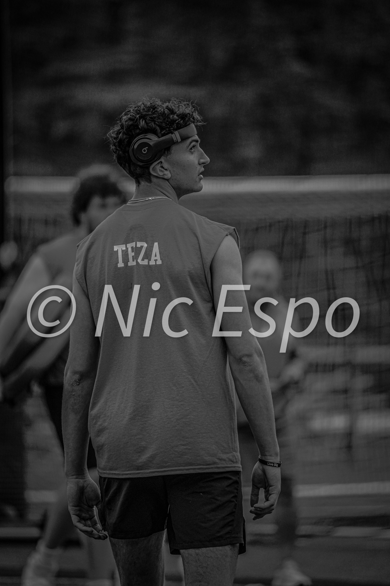 teza — W42 - Teza